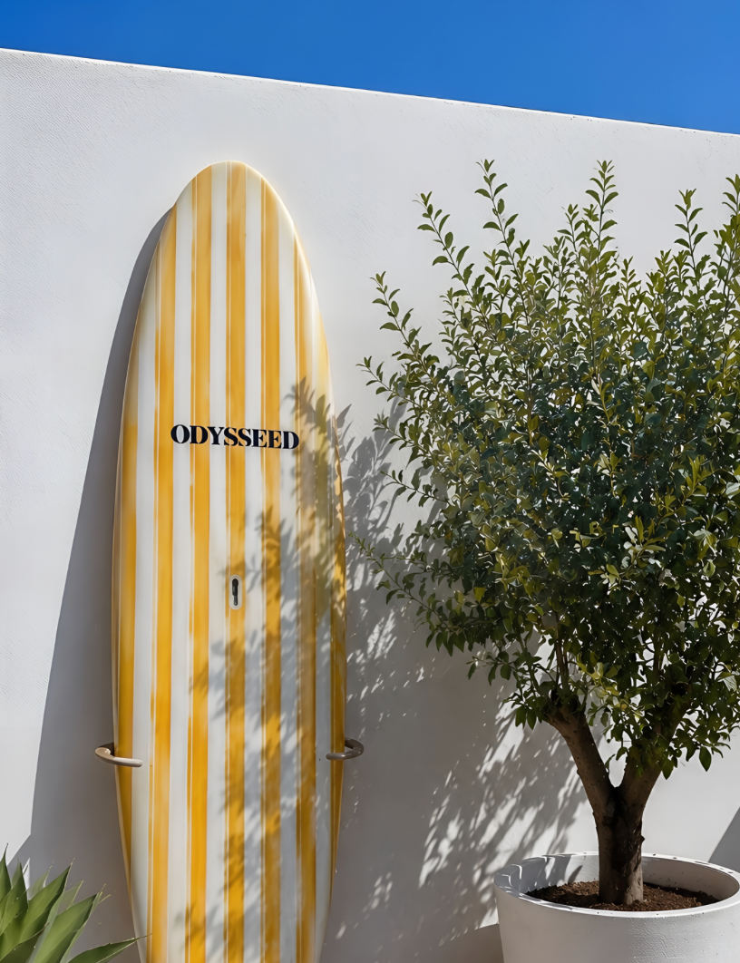 ODYSSEED yellow surfboard beside a Mediterranean tree